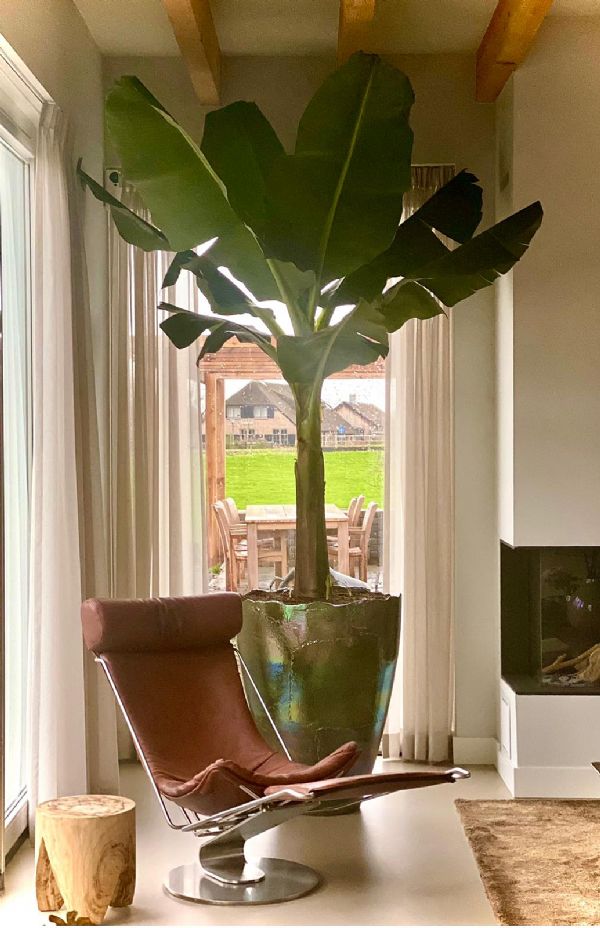 Home styling